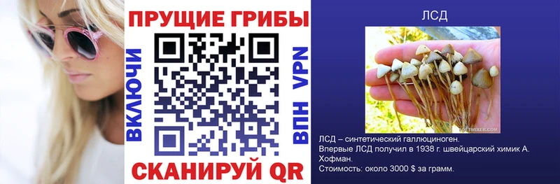 Псилоцибиновые грибы Magic Shrooms  цена   Инта 
